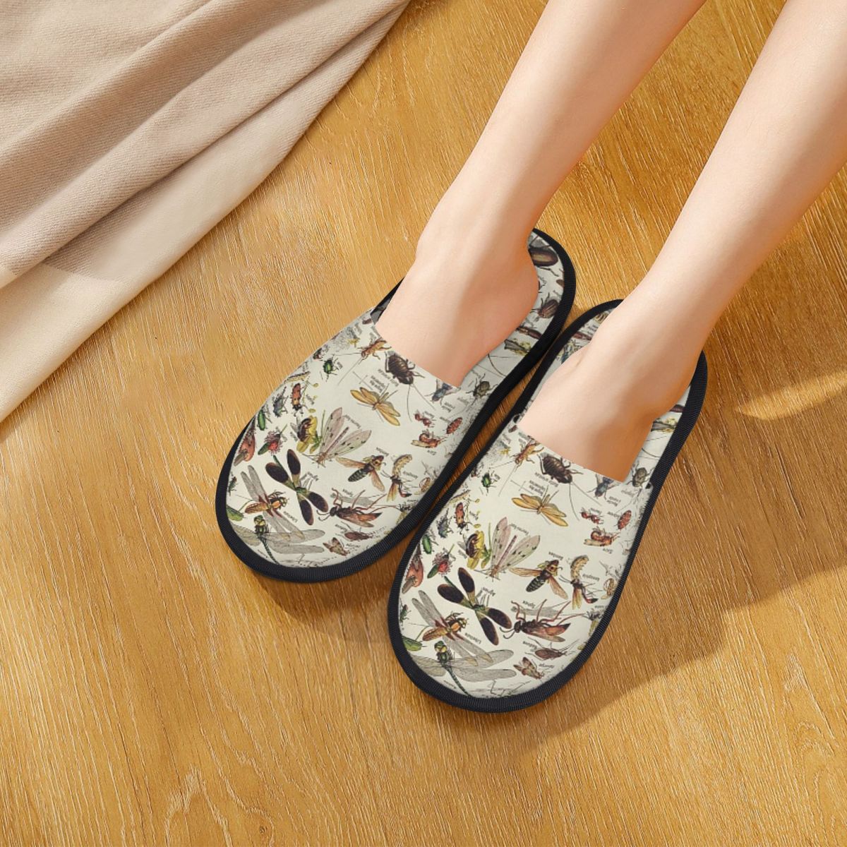 Shoes Women Chart - Tabela owadów. Ilustracja naukowa, tekst w